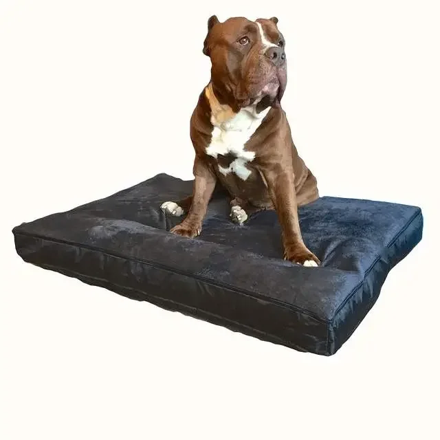 Honden kussen Bully xxl zwart