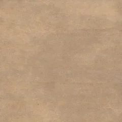 Bossy vintage kl 21 light brown 140 cm breed