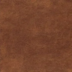 Bossy vintage kl 24 brown 140 cm breed