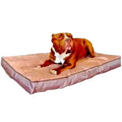 Hondenkussen Bully xxl taupe