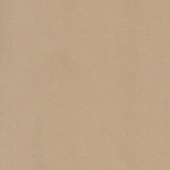 Outdoorstof Solar uni beige 150 cm breed